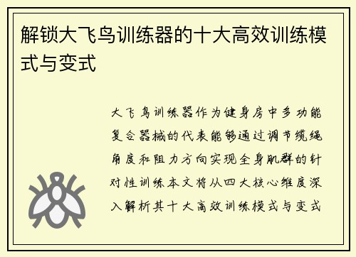 解锁大飞鸟训练器的十大高效训练模式与变式